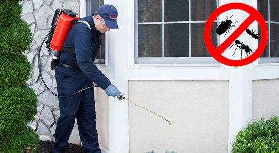 Avcılar Bit İlaçlama böcek ilaçlama ve haşere kontrolü — ilaclama-tr.com
